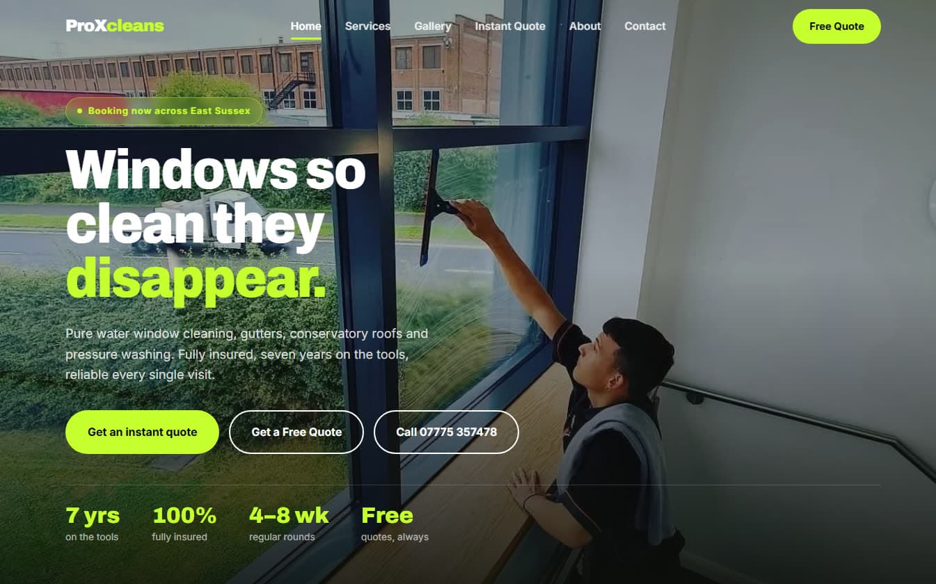 The ProXcleans website homepage